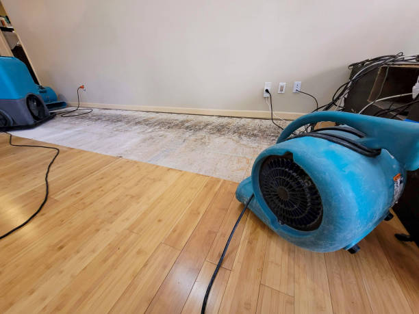 Professional Flood Damage Cleanup technician working in Milledgeville, IL